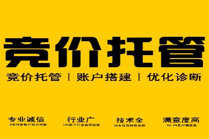 某公司SEO与SEM整合营销的全程记录